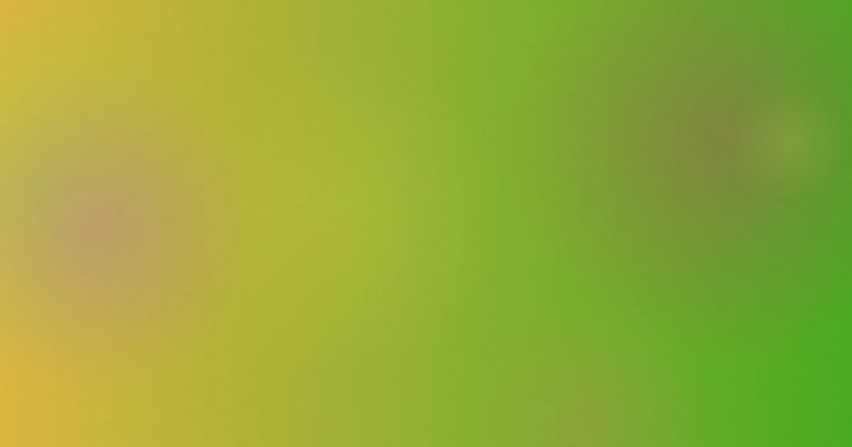 by2怎么用：听歌场景实测